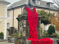 Stunning Poppy cascade a true community tribute to the fallen