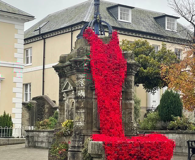 Stunning Poppy cascade a true community tribute to the fallen