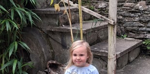 Forder in full bloom as village celebrates Sunflower success