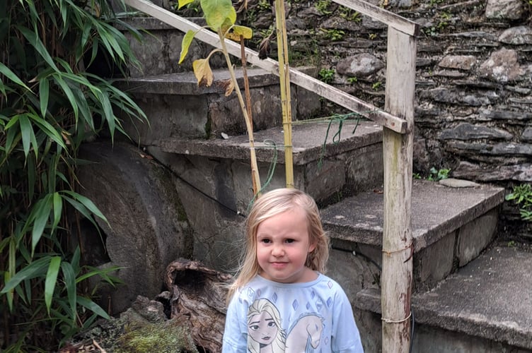 Young Tamara took first place in the Children’s “Taller Than the Grower” Award