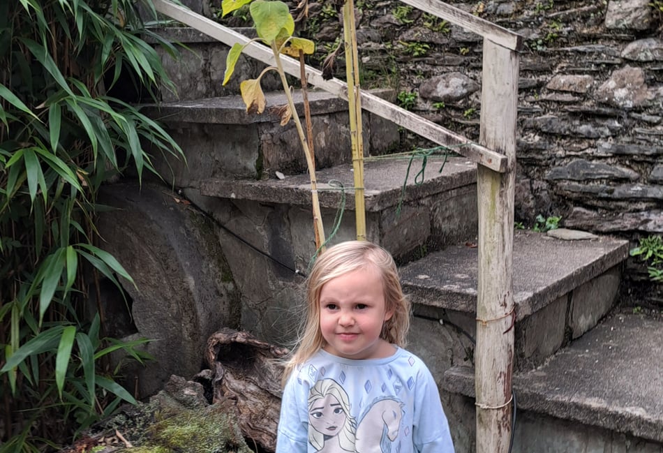 Forder in full bloom as village celebrates Sunflower success