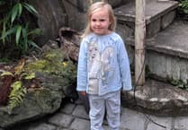 Forder in full bloom as village celebrates Sunflower success