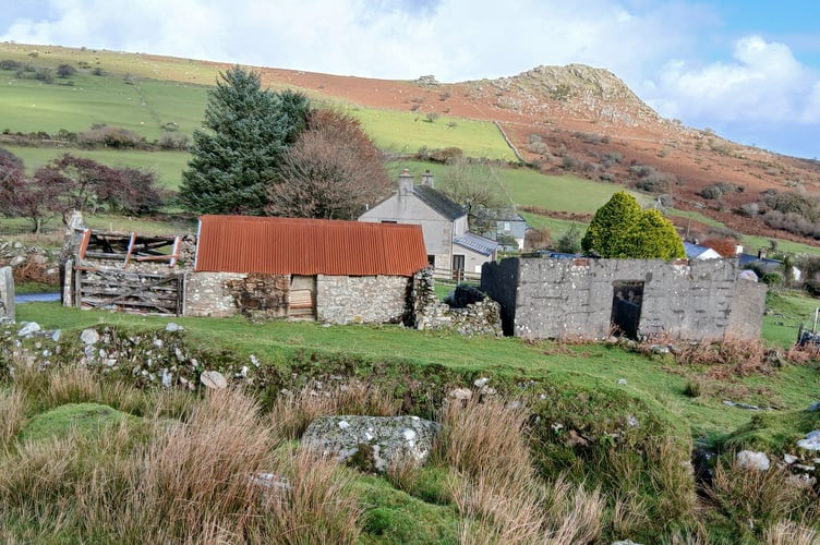 Remains of John Dymond's cottage  below Sharp Tor in 2025 (by Brian Oldham)