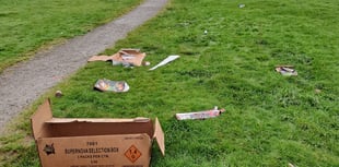 Council's plea to Bonfire night Beacon litterbugs