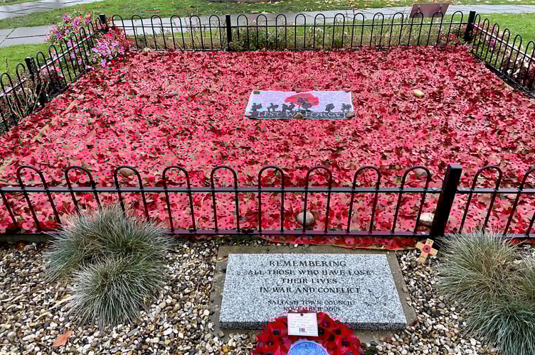The Saltash poppy garden remembering those who have been lost in war and conflict