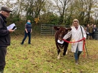 Liskeard Winter Fair hails 104 years of farming excellence
