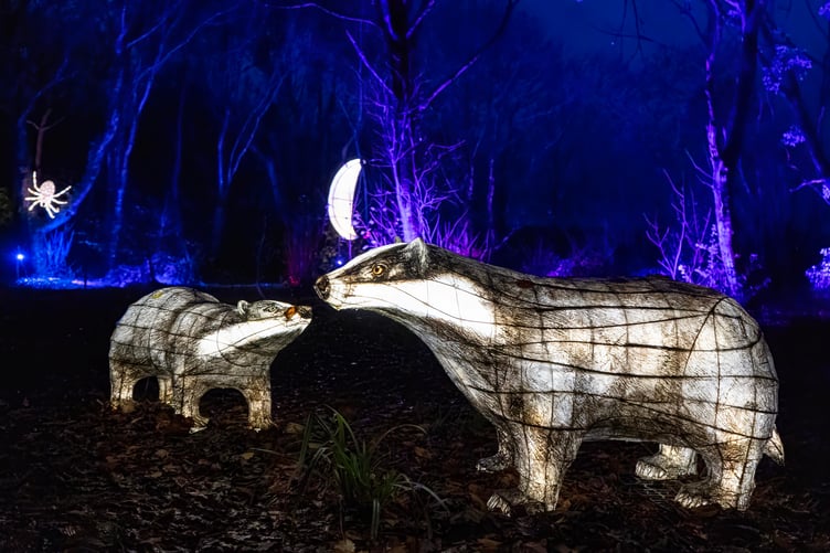 Badgers and a spider at the Lost Gardens of Heligan night garden.
