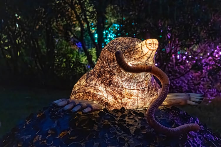 A mole with a worm in the night garden at Heligan.