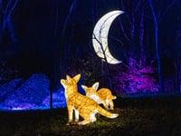 New light installations at tourist attraction night garden
