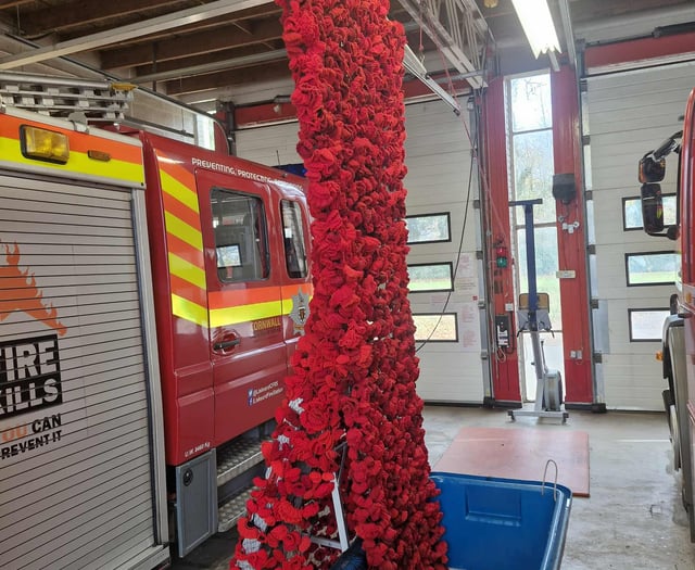 Community effort ensures knitted poppy tribute can be reused