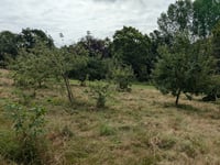Forest for Cornwall marks five Years with Tincombe Park celebration