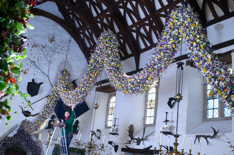 Record-breaking year for Cotehele's famous Christmas Garland
38,000 dried flowers grown, harvested and hand-placed at the National Trust estate in Cornwall

Cotehele celebrates its biggest ever garland, created from 38,000 home-grown flowers
deal growing conditions made 2025 a bumper year for key blooms including paper daisies, bunny tails and statice
 Visitors can see the full 60ft garland in the Great Hall daily from Saturday, 22nd November - Monday, 5th January (closed 25th - 26th December), 10.30am - 4pm
Cotehele's celebrated Christmas Garland has reached record heights this year, as gardeners announce a remarkable 38,000 flowers grown, picked, stripped, dried and prepared on site for the 2025 display.
Thanks to a near-perfect spring and summer - with a balanced mix of sunshine, warmth and timely rainfall - the garden team enjoyed one of their most successful growing seasons in decades