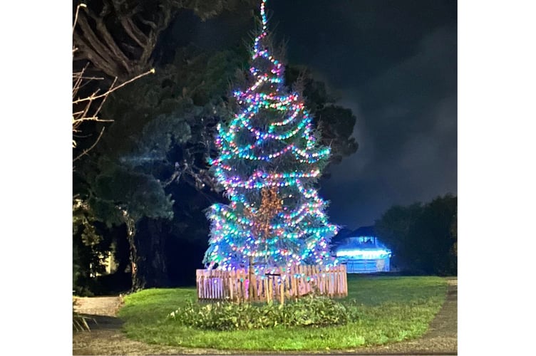 The lit Christmas tree in Saltash's Jubilee Gardens
