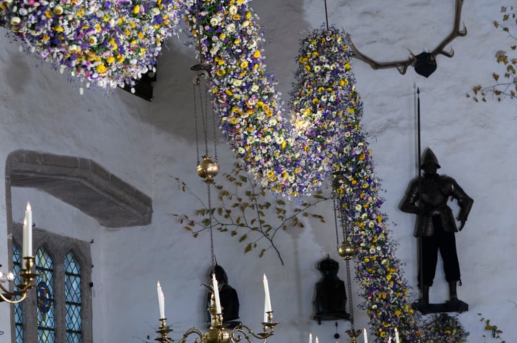 Record-breaking year for Cotehele's famous Christmas Garland
38,000 dried flowers grown, harvested and hand-placed at the National Trust estate in Cornwall

Cotehele celebrates its biggest ever garland, created from 38,000 home-grown flowers
deal growing conditions made 2025 a bumper year for key blooms including paper daisies, bunny tails and statice
 Visitors can see the full 60ft garland in the Great Hall daily from Saturday, 22nd November - Monday, 5th January (closed 25th - 26th December), 10.30am - 4pm
Cotehele's celebrated Christmas Garland has reached record heights this year, as gardeners announce a remarkable 38,000 flowers grown, picked, stripped, dried and prepared on site for the 2025 display.
Thanks to a near-perfect spring and summer - with a balanced mix of sunshine, warmth and timely rainfall - the garden team enjoyed one of their most successful growing seasons in decades