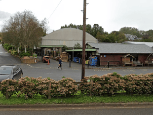 Garden centre brightens up Christmas for local hospice