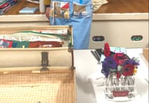 Community news from across South East Cornwall