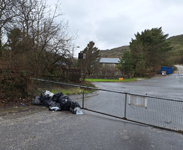 Woman ordered to pay more than £700 after dumping nine bags of rubbish