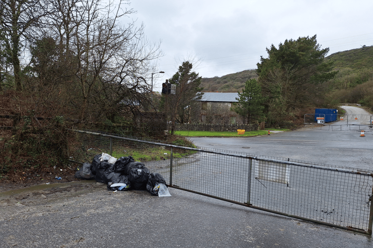 Nine bags of rubbish dumped by gate.