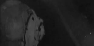 Torpoint police investigating early morning break-in attempt