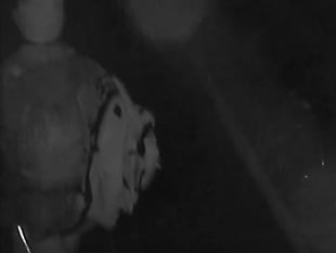 Torpoint police investigating early morning break-in attempt