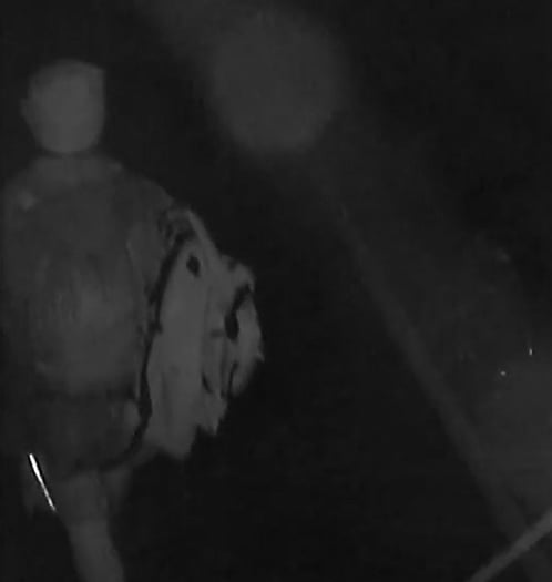Torpoint police investigating early morning break-in attempt