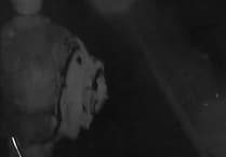 Torpoint police investigating early morning break-in attempt