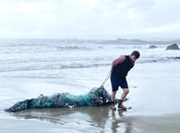 Ghost fishing gear turned into presents