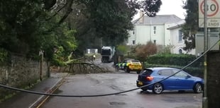 Tree down in Liskeard as Storm Bram hits