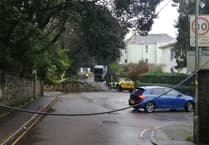 Tree down in Liskeard as Storm Bram hits