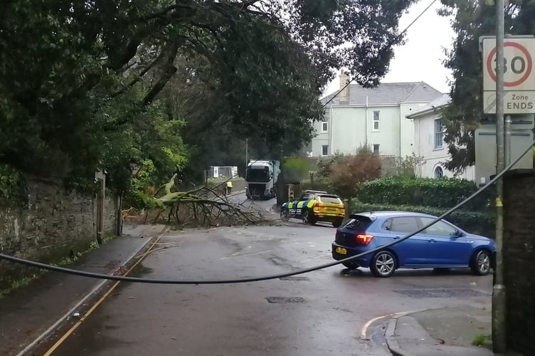 A fallen tree has forced the closure of Dean Street, New Road and Dean Hill in Liskeard