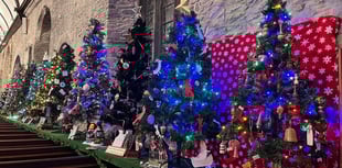 Saltash celebrates with dazzling Christmas tree display