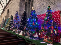 Saltash celebrates with dazzling Christmas tree display