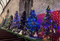 Saltash celebrates with dazzling Christmas tree display