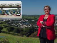 Calls grow to review Tamar Tag price hike