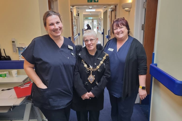 Liskeard Mayor Cllr Christina Whitty has been out visiting the town's various nursing homes ahead of the Christmas period
