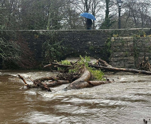 Fears fallen trees may cause historic bridge to collapse