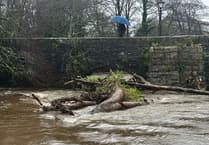 Fears fallen trees may cause historic bridge to collapse
