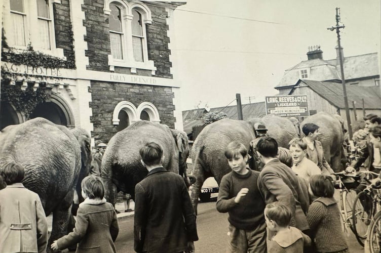 Circus elephants passing the Old Stag Hotel, Station Road, Liskeard. (Picture courtesy of Karl from Liskeard)