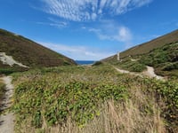 Henwyn tyller/Place names: Jericho Valley, St Agnes
