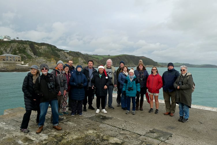 The birdwatching fieldtrip took place around the harbour at Mevagissey.