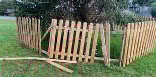 Christmas vandalism leaves community paying the price