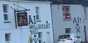 Police urge public help after festive graffiti rampage