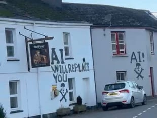 Police urge public help after festive graffiti rampage