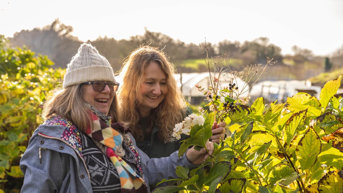 Eden Project Launches Initiative to Enhance Mental Health via Nature