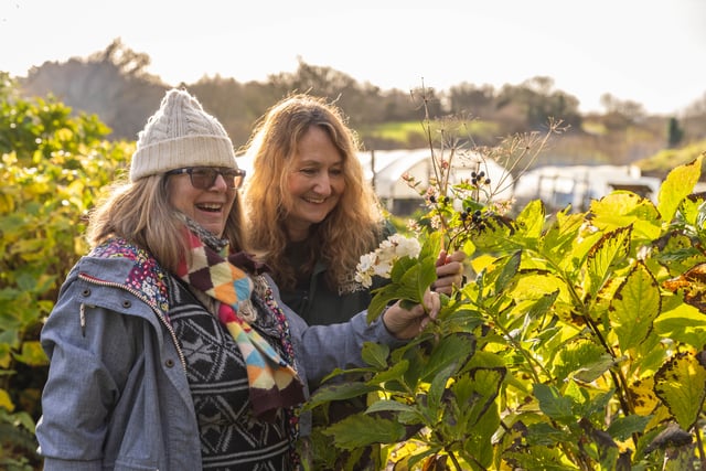 Eden Project unveils plan to boost mental health through nature