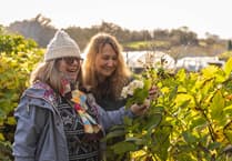 Eden Project unveils plan to boost mental health through nature
