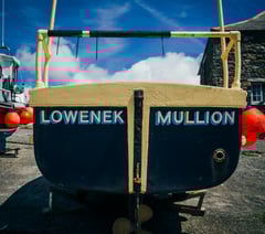 Henwyn tyller/Place names: Mullion