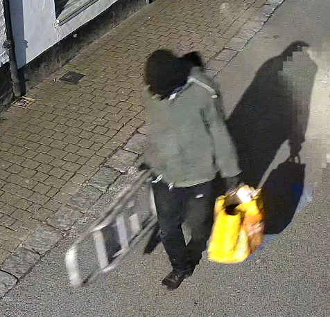 Police appeal to identify masked person after festive vandalism