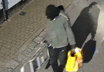 Police appeal to identify masked person after festive vandalism