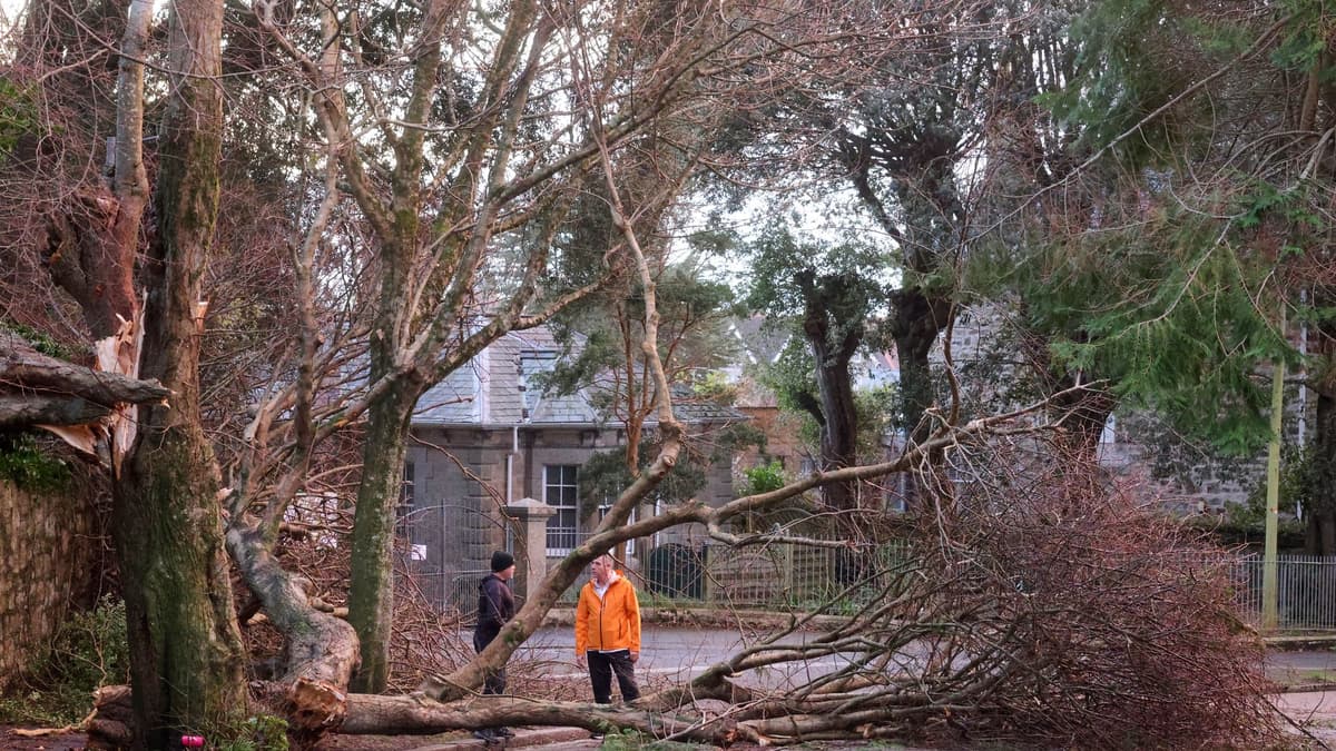 Schools closed in Cornwall to deal with Storm Goretti aftermath